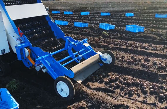 こんにゃく芋にも対応できます | 野菜収穫の農業機械なら田中工機株式会社