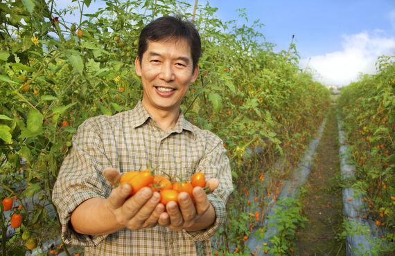 速いスピードで作業できるようになります | 野菜収穫の農業機械なら田中工機株式会社
