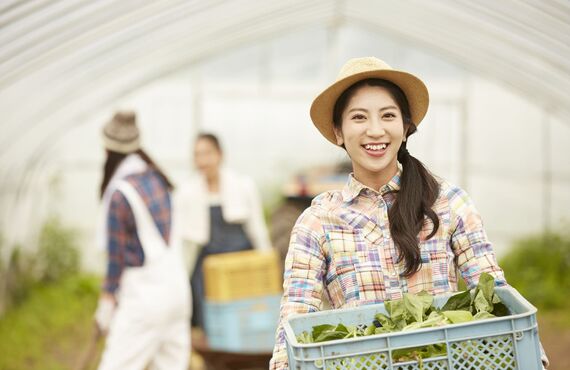 コンパクトに収納できるため便利です | 野菜収穫の農業機械なら田中工機株式会社