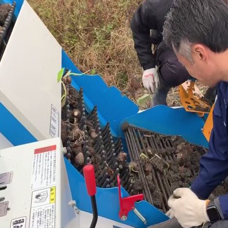 里芋　第一コンベア_R