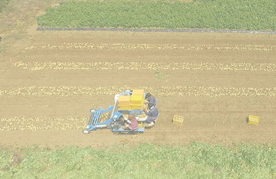 日本で初めて！？掘ったじゃがいもを座って選別ができる拾い上げ収穫機械！野菜収穫の農業機械は田中工機株式会社  