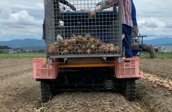 玉ねぎ収穫機械は次世代自走乗用拾い上げピッカー「アガール」、「アガールD」をおススメします！田中工機株式会社