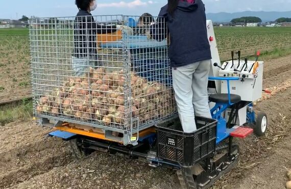 次世代自走乗用ピッカー「アガールD」は掘り上げた玉ねぎを拾い上げ、鉄コンテナへ収穫する玉ねぎ収穫機械です！
